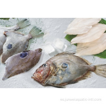 John Dory fresco congelado